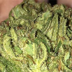 User uploaded image of Buddha's Hand