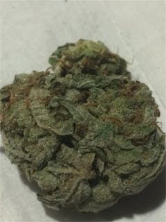 User uploaded image of Buddha's Hand