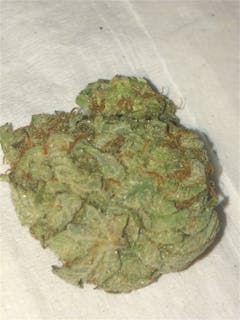 User uploaded image of Buddha's Hand