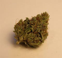 User uploaded image of Buddha's Hand