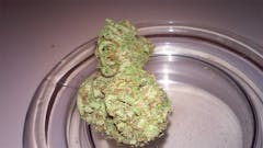 User uploaded image of Buddha's Sister