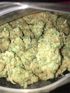 User uploaded image of Buddha's Sister