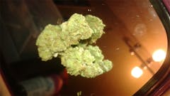 User uploaded image of Buddha Tahoe