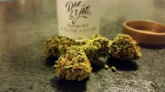 User uploaded image of Buffalo Bill