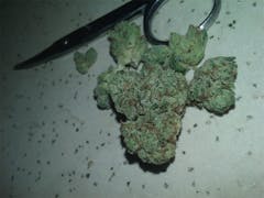 User uploaded image of Bugatti