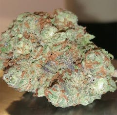 User uploaded image of Burkle