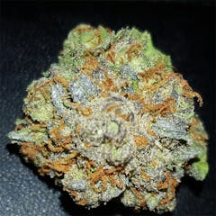 User uploaded image of Burkle