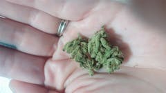 User uploaded image of Burmese Kush
