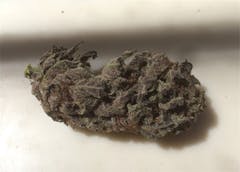User uploaded image of Butter OG
