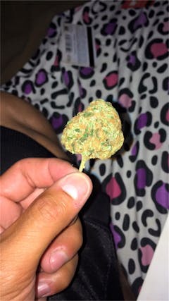 User uploaded image of C13 Haze