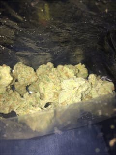 User uploaded image of Cabbage Patch