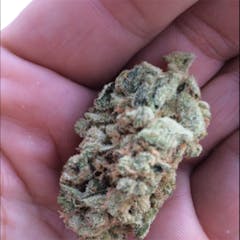 User uploaded image of Cabbage Patch