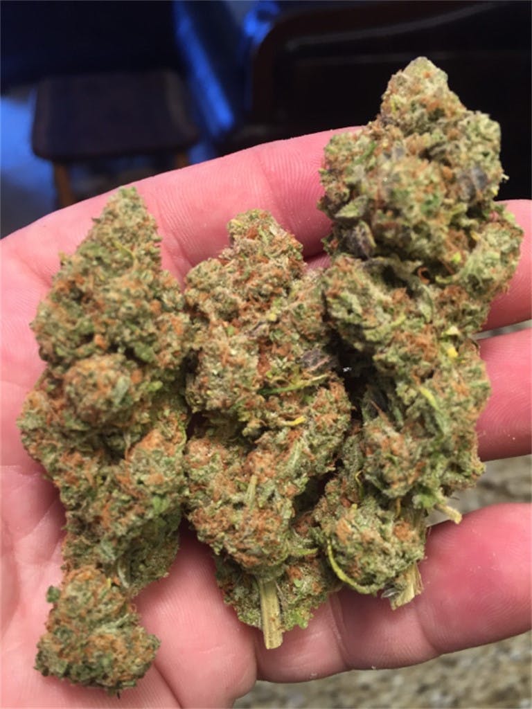 Photos of Cabbage Patch Weed Strain Buds Leafly