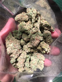 User uploaded image of Cabbage Patch