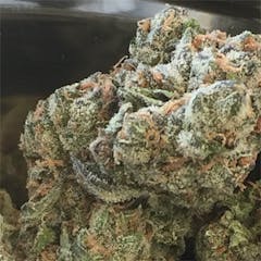 User uploaded image of Cabbage Patch