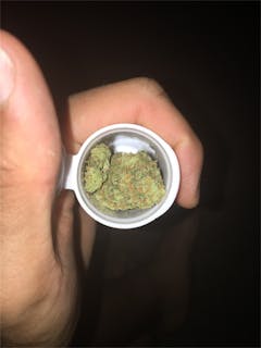 User uploaded image of Cactus Cooler