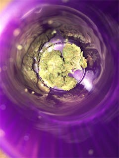 User uploaded image of Cactus Cooler