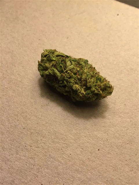 Cactus aka Cactus Breath, Cactus OG, Cactus Kush Weed Strain Information |  Leafly