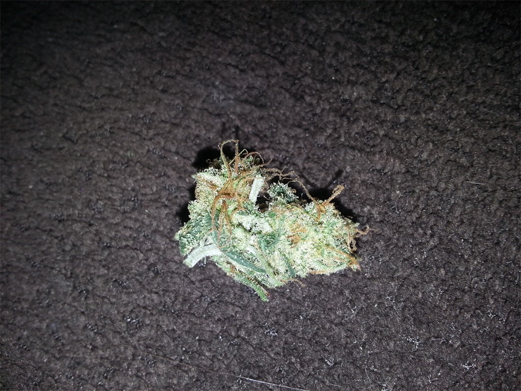 Cactus aka Cactus Breath, Cactus OG, Cactus Kush Weed Strain Information |  Leafly