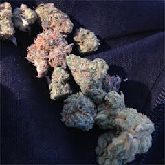 User uploaded image of Cadillac Purple