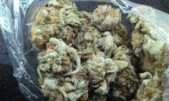 User uploaded image of Cali Gold