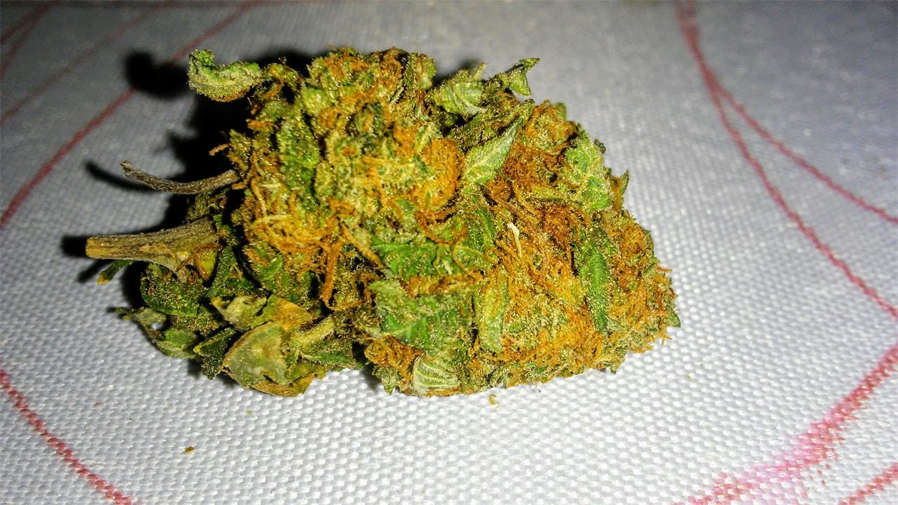 Cali Gold aka California Gold Weed Strain Information Leafly