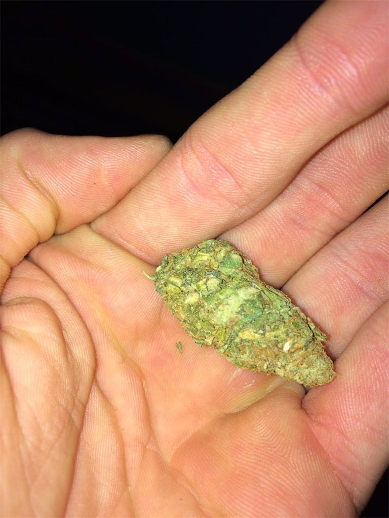 Cali Gold aka California Gold Weed Strain Information Leafly