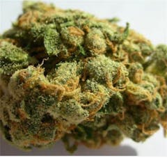 User uploaded image of Cali Jack