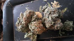 User uploaded image of Cali Kush