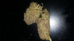 User uploaded image of Cali Kush