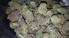 User uploaded image of Cali Kush