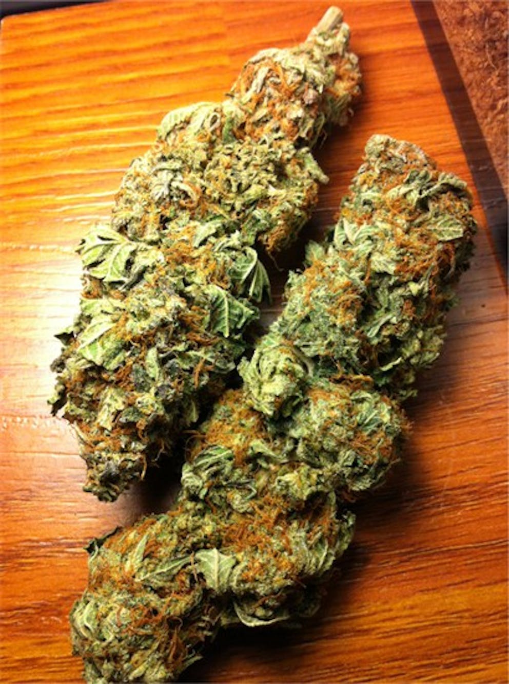Photos of California Orange Weed Strain Buds Leafly