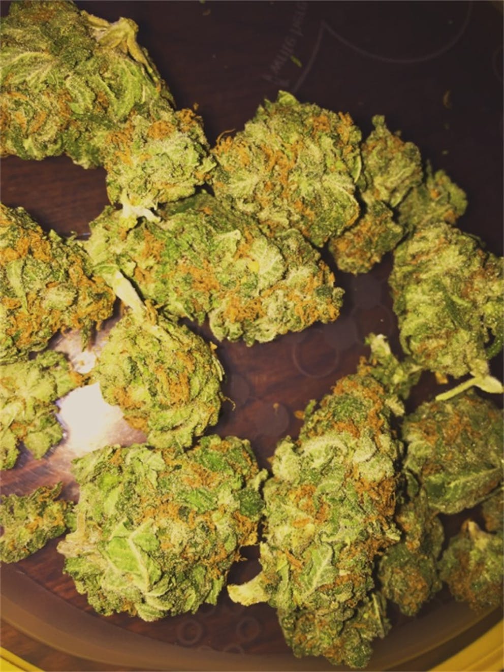 Photos of California Orange Weed Strain Buds Leafly