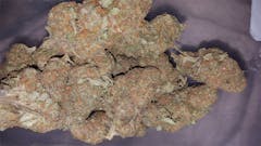 User uploaded image of California Orange