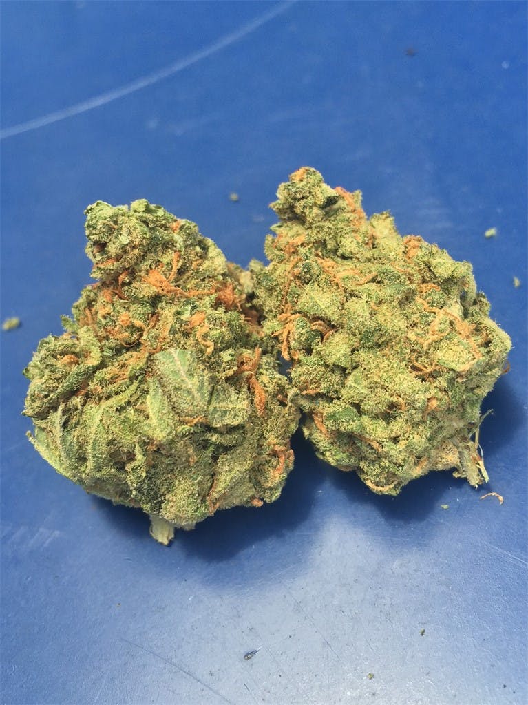 Photos of California Orange Weed Strain Buds Leafly