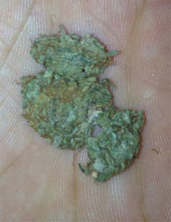 User uploaded image of California Sour