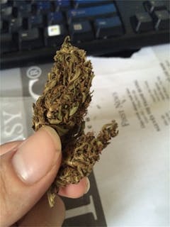 User uploaded image of Cambodian