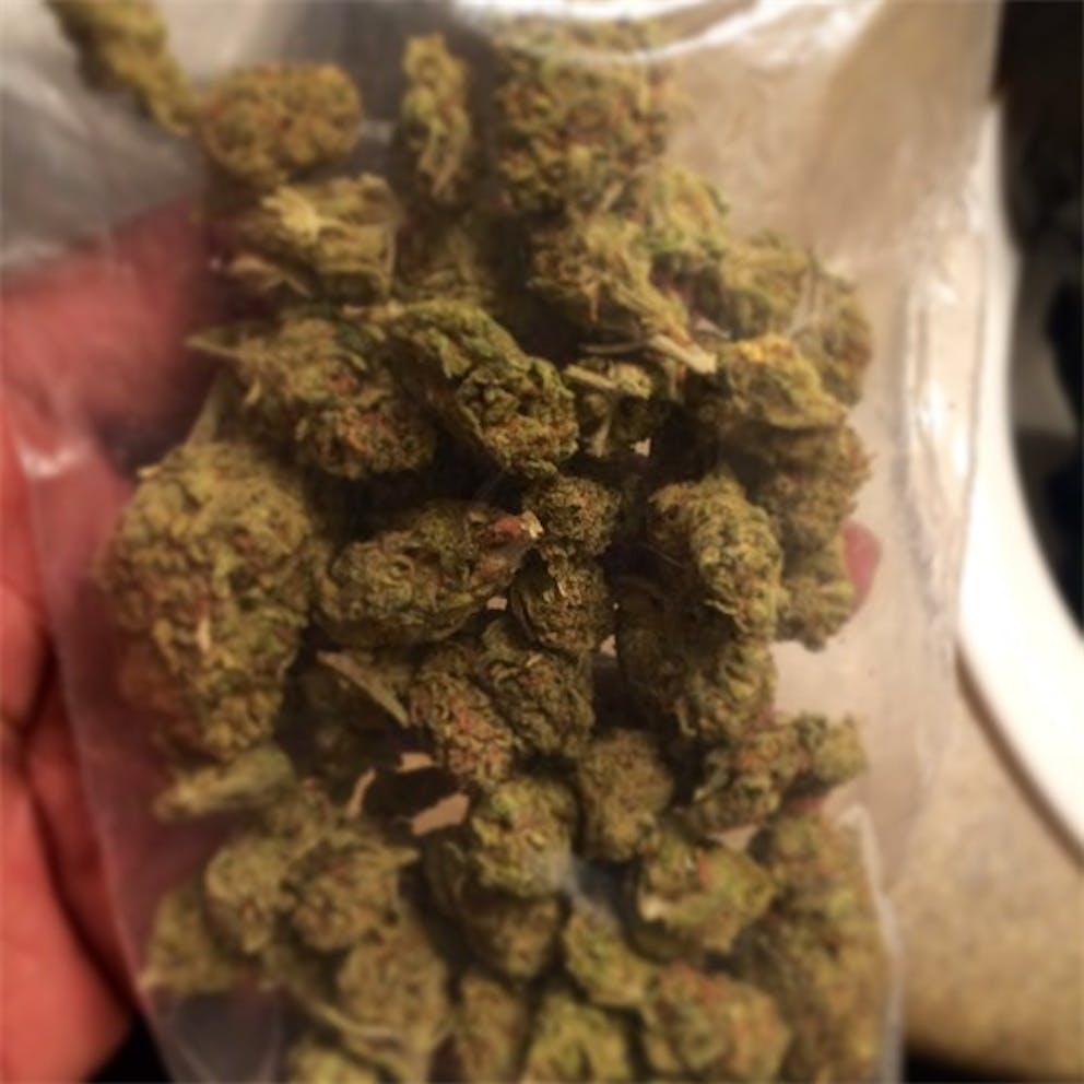 Photos of Candy Cane Weed Strain Buds Leafly