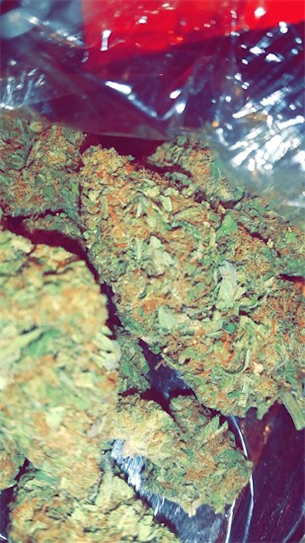 Photos of Candy Cane Weed Strain Buds Leafly