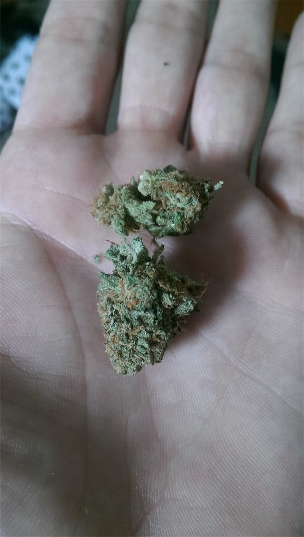 Photos of Candy Cane Weed Strain Buds Leafly