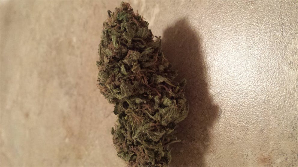 Photos of Candy Cane Weed Strain Buds Leafly