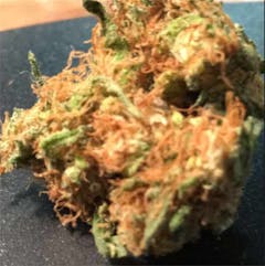 User uploaded image of Candy Cane