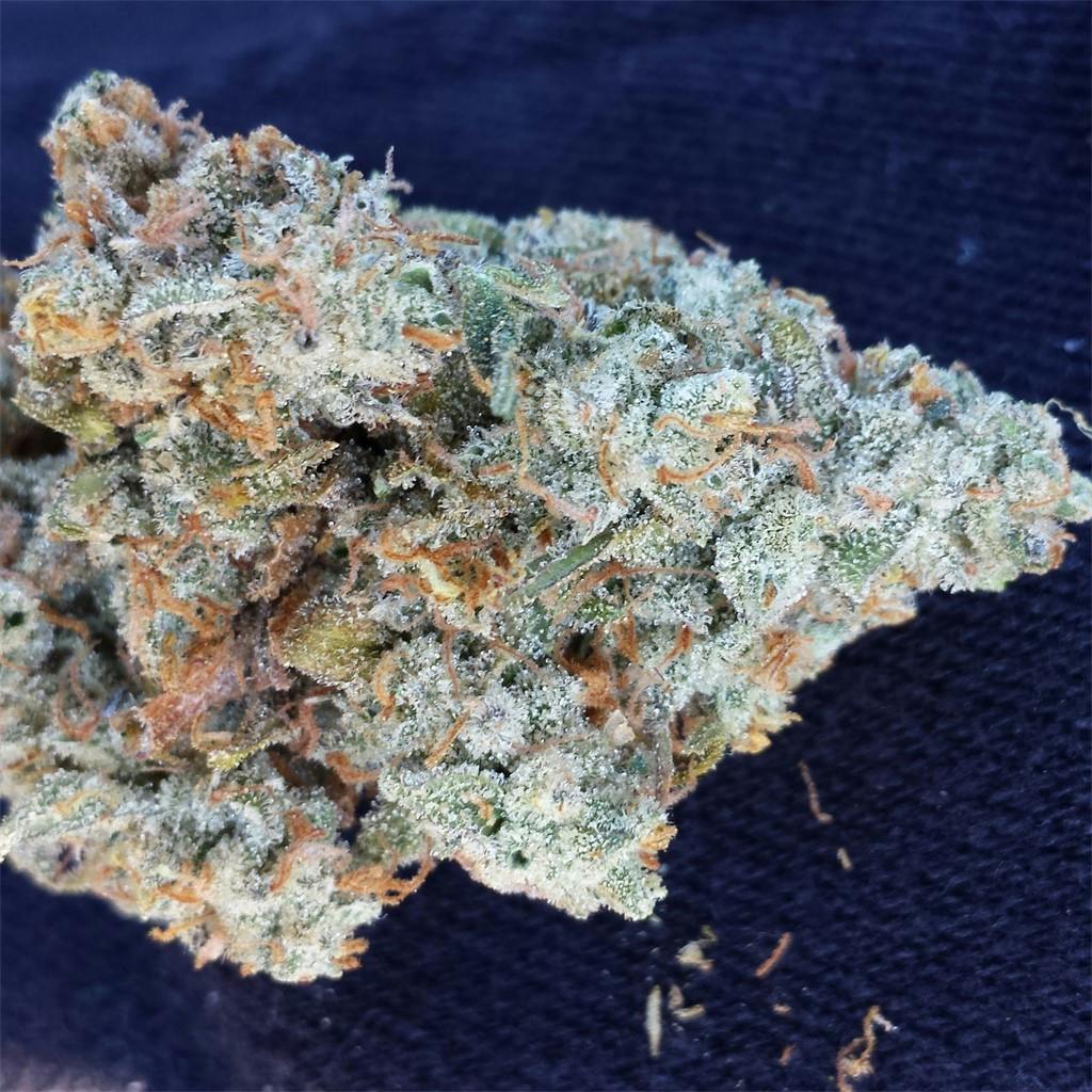 Photos of Candy Jack Weed Strain Buds Leafly