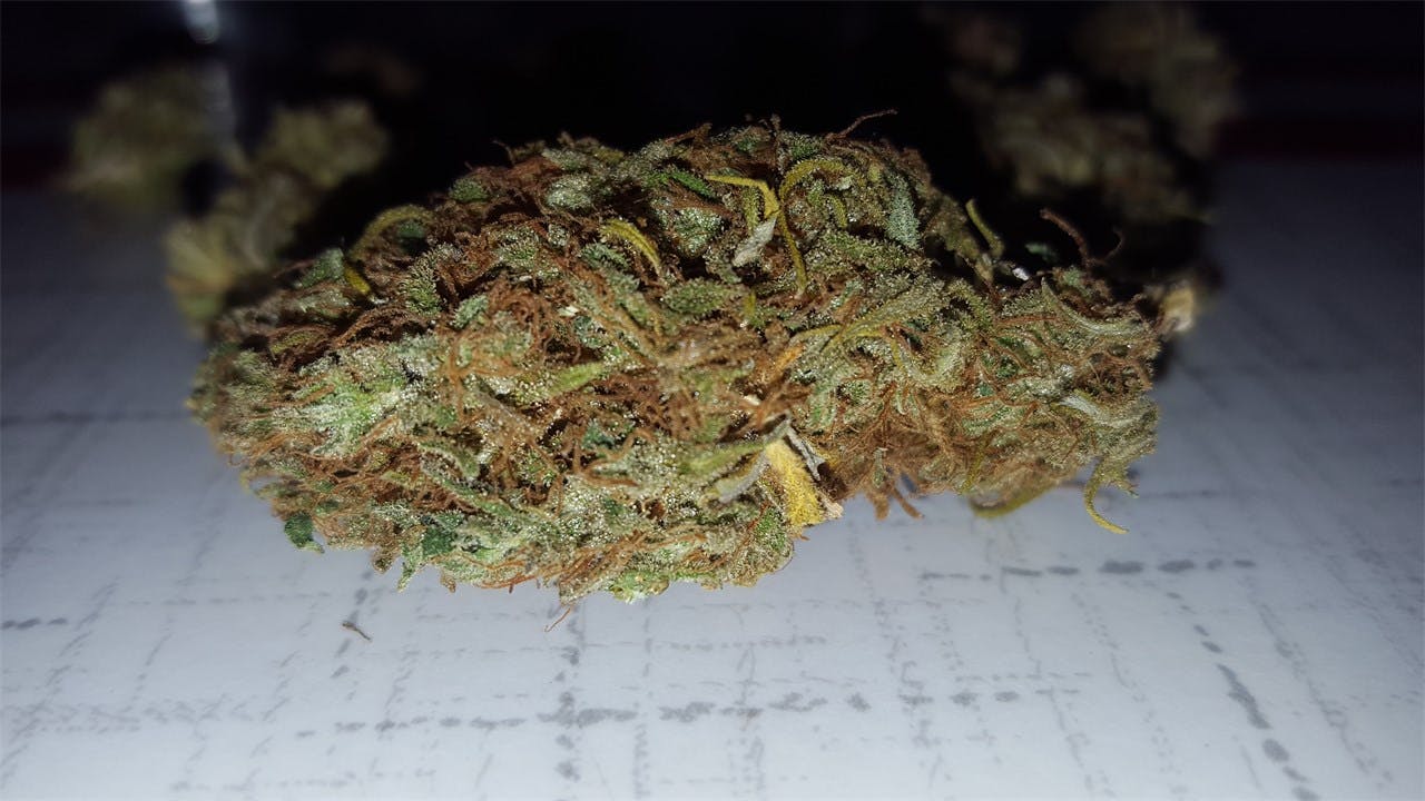 Candy Jack Weed Strain Information Leafly