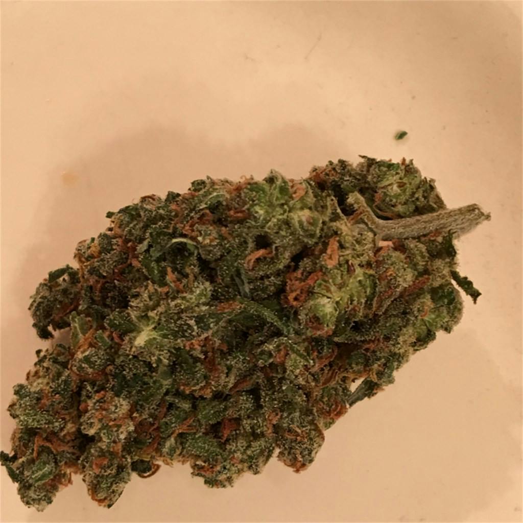 Candy Jack Weed Strain Information Leafly