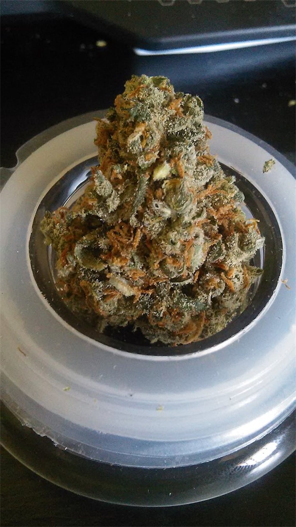 Photos of Candy Jack Weed Strain Buds Leafly