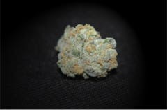 User uploaded image of Candyland