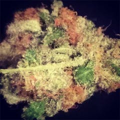 User uploaded image of Cannadential