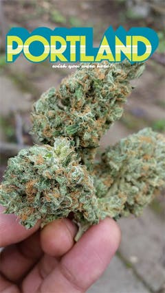 User uploaded image of Cannadential