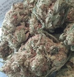 User uploaded image of Cannalope Haze